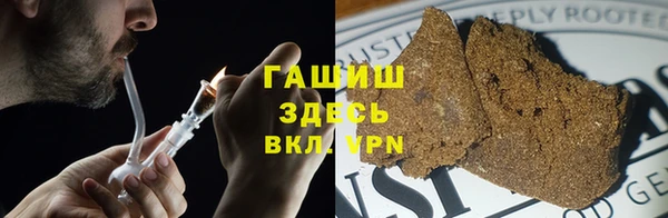 ГАЛЛЮЦИНОГЕННЫЕ ГРИБЫ Коряжма