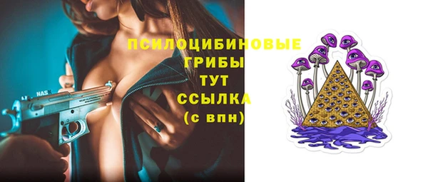 каннабис Корсаков