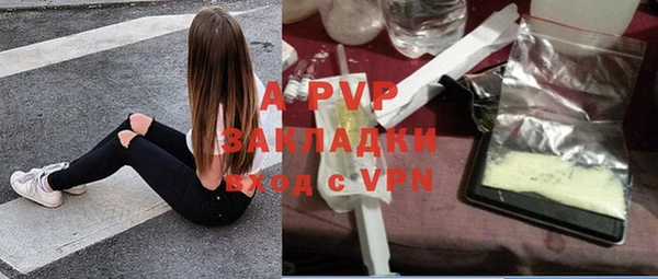 каннабис Корсаков