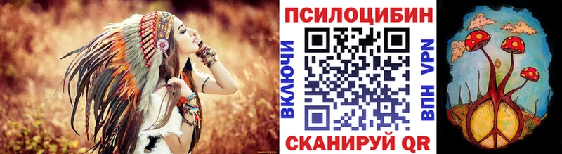 Псилоцибиновые грибы Cubensis  Купить где  Алексин 